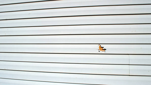 Best Engineered Wood Siding  in Waterloo, WI