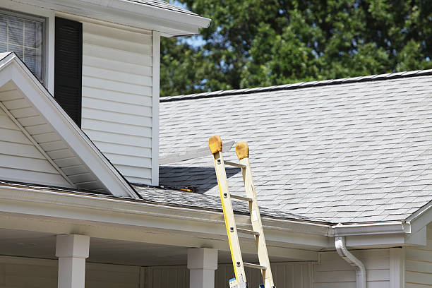 Best Custom Siding Design  in Waterloo, WI